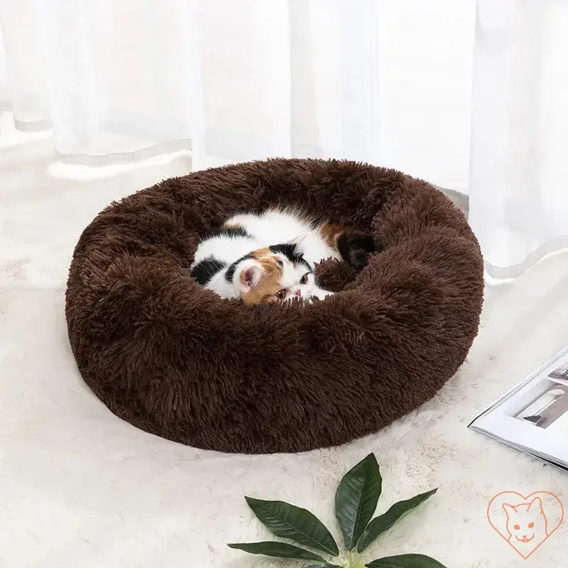Cozy circular cat bed in rich brown shade featuring a curled cat comfortably resting inside.