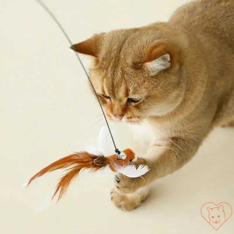 Cat playing with a hands-free feather wand toy, showcasing its colorful feathers and interactive design.