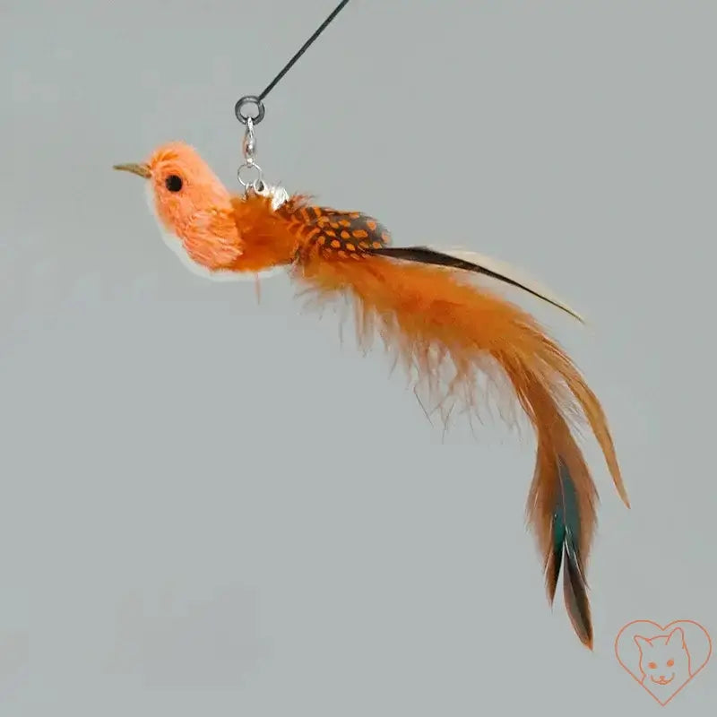 Colorful feathered bird toy designed for engaging cat play sessions with a hands-free cat wand.