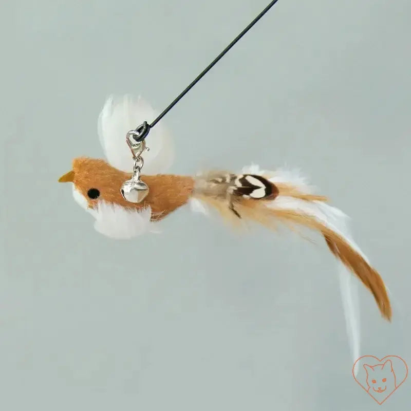 Colorful feather bird toy for cat wand, featuring a bell for interactive play.