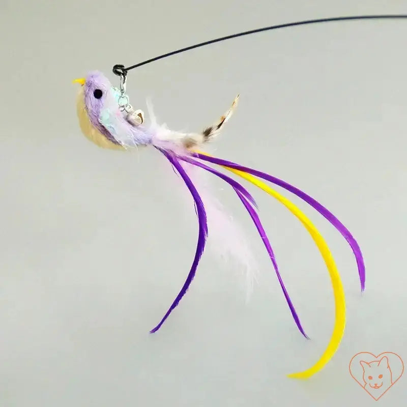 Colorful feathered bird toy on a string, designed to engage and entertain cats during playtime.