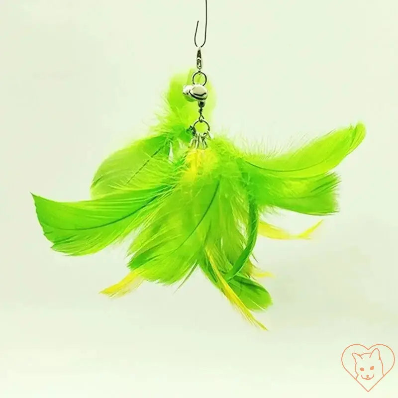 Bright green feathers on a cat wand with a bell, designed for interactive playtime.