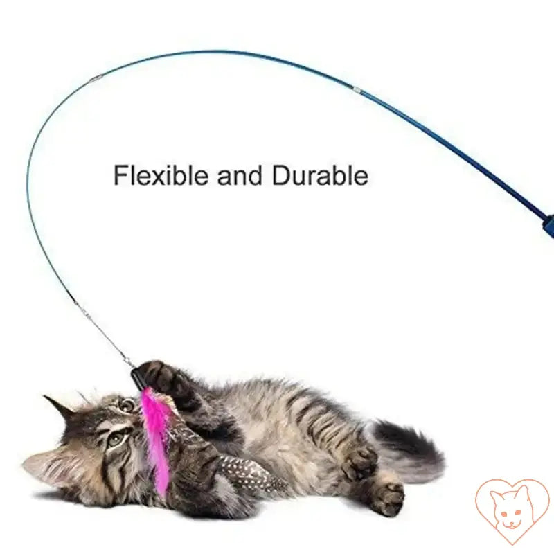 Cat playing with flexible and durable telescopic teaser stick featuring a feather attachment.
