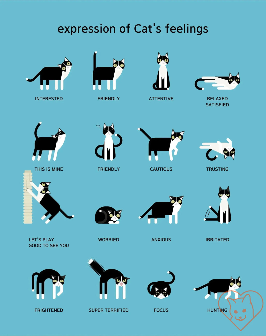 Illustration showing various cat body language expressions indicating feelings like interested, friendly, anxious, and frightened.
