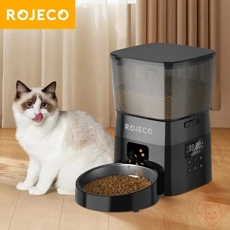 Cat next to ROJECO automatic food dispenser, designed for fresh and efficient feeding solutions.