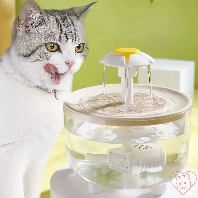 Cat drinking from a 1.2L automatic water fountain with adjustable flow, promoting hydration and health.