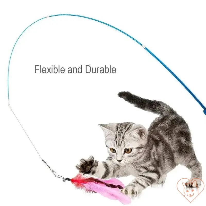 Cat playing with a flexible and durable feather toy stick during interactive playtime.