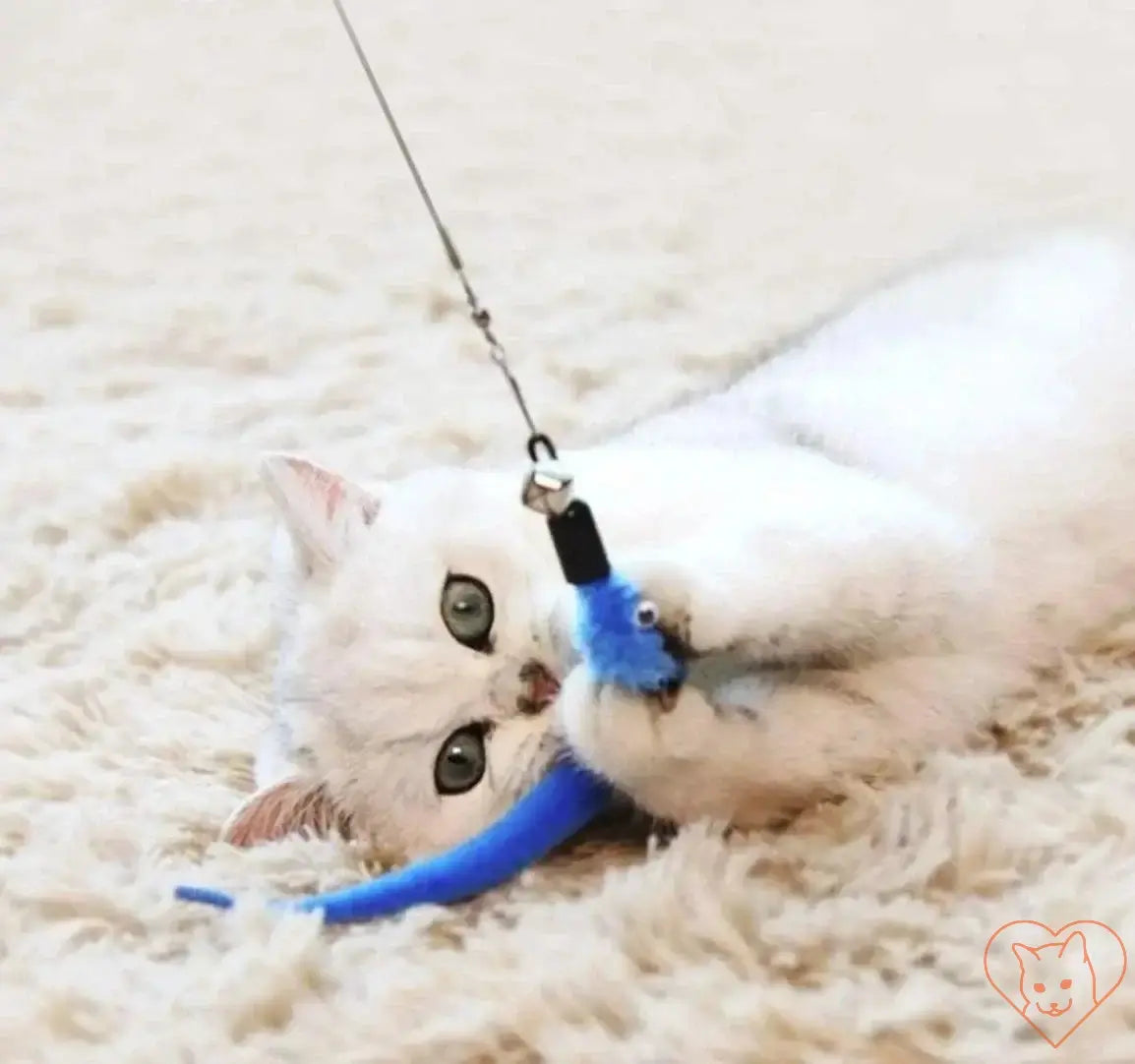 Playful cat with blue feather toy, enjoying the 11pcs Cat Feather Toy Set on a plush carpet.