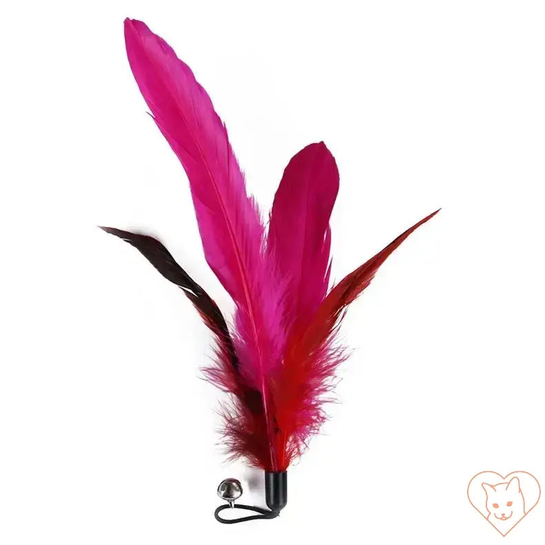 Colorful pink and red feathers for cat toy replacement, featuring a bell attachment for interactive play.