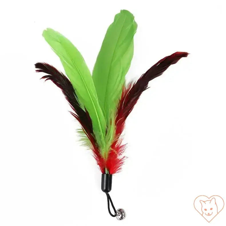 Colorful green and red feather replacement head for cat feather toy, designed for fun and interactive play.