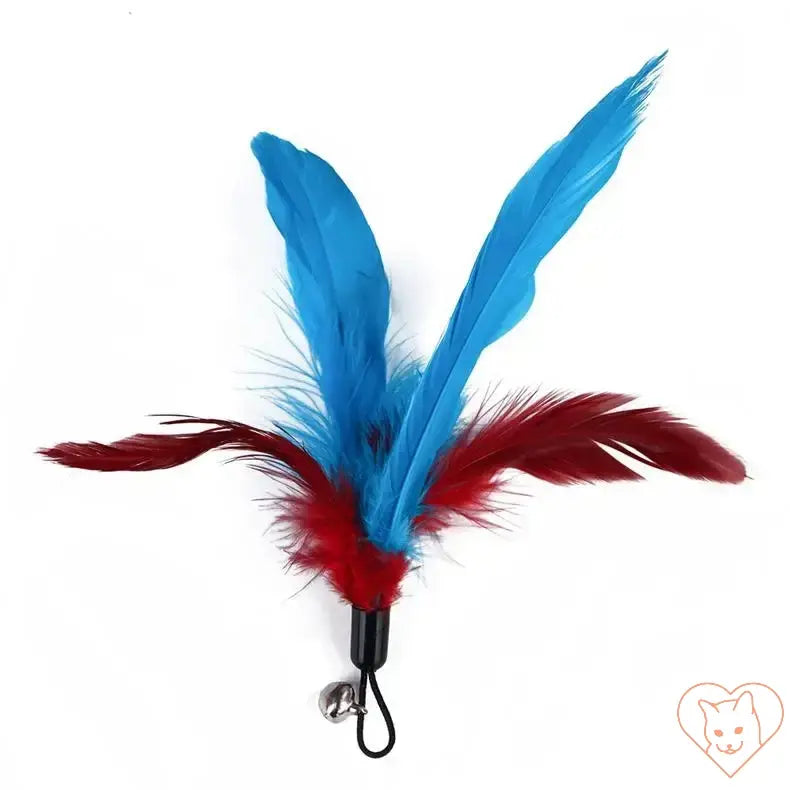 Colorful blue and red feather replacement head for cat toy set, designed to engage and entertain your cat.