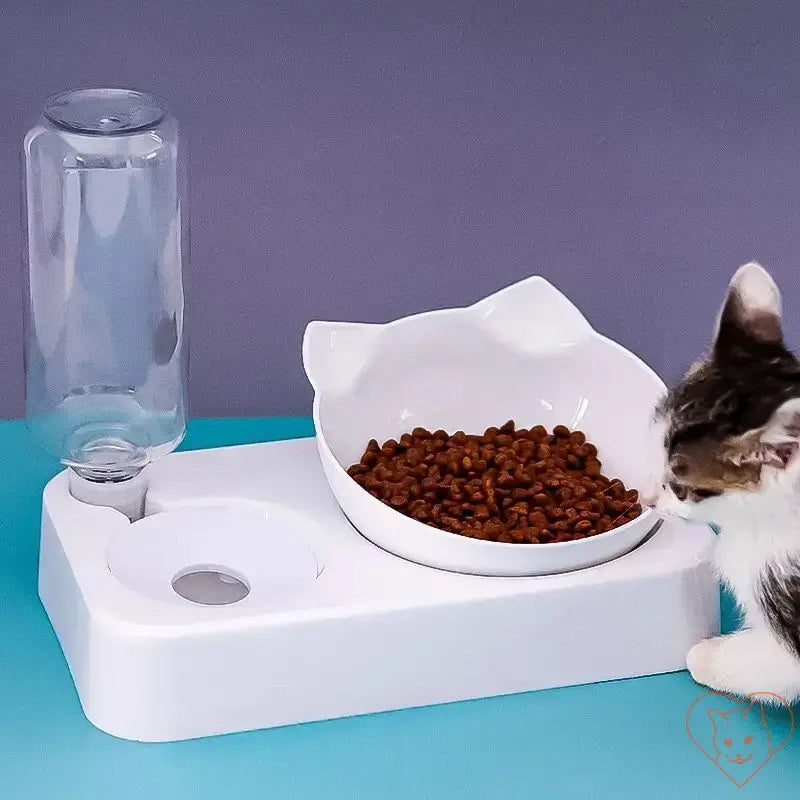 White 15° tilt cat bowl with automatic waterer and brown cat food, ideal for feline comfort and hydration.