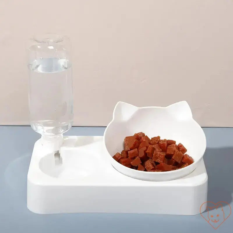 15° tilt cat bowl with automatic waterer, providing comfort and hydration for cats during mealtime.