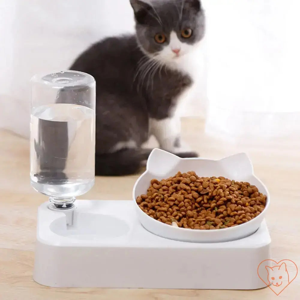 Ergonomic 15° Tilt Cat Bowl with Automatic Waterer, featuring a water dispenser and cat-shaped food bowl.