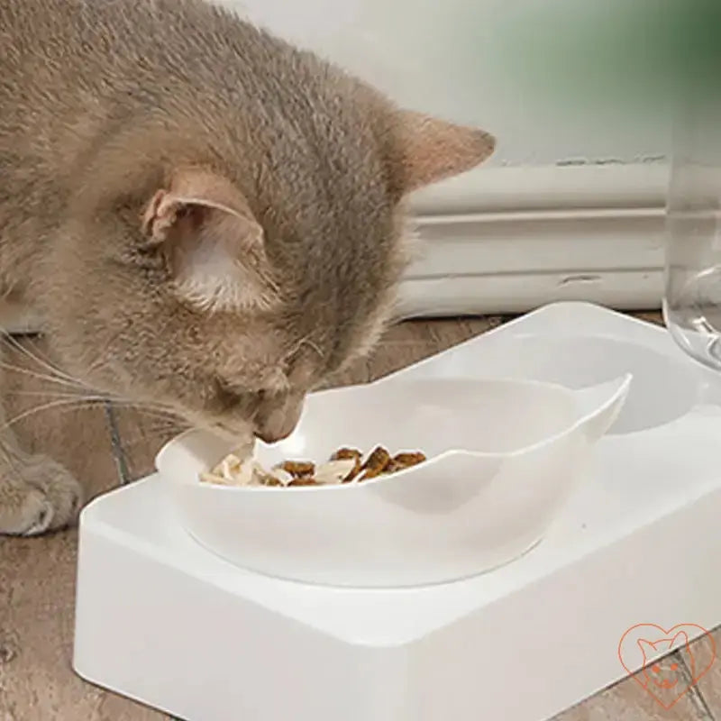 Cat eating from a 15° tilt cat bowl with automatic waterer, promoting comfort and hydration.