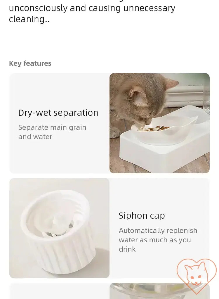 Cat using 15° tilt bowl with dry-wet separation and siphon cap for hydration and feeding comfort.