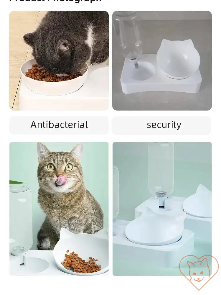 15° tilt cat bowl with automatic waterer, ergonomic feeding setup for cats, promoting comfort and hydration.