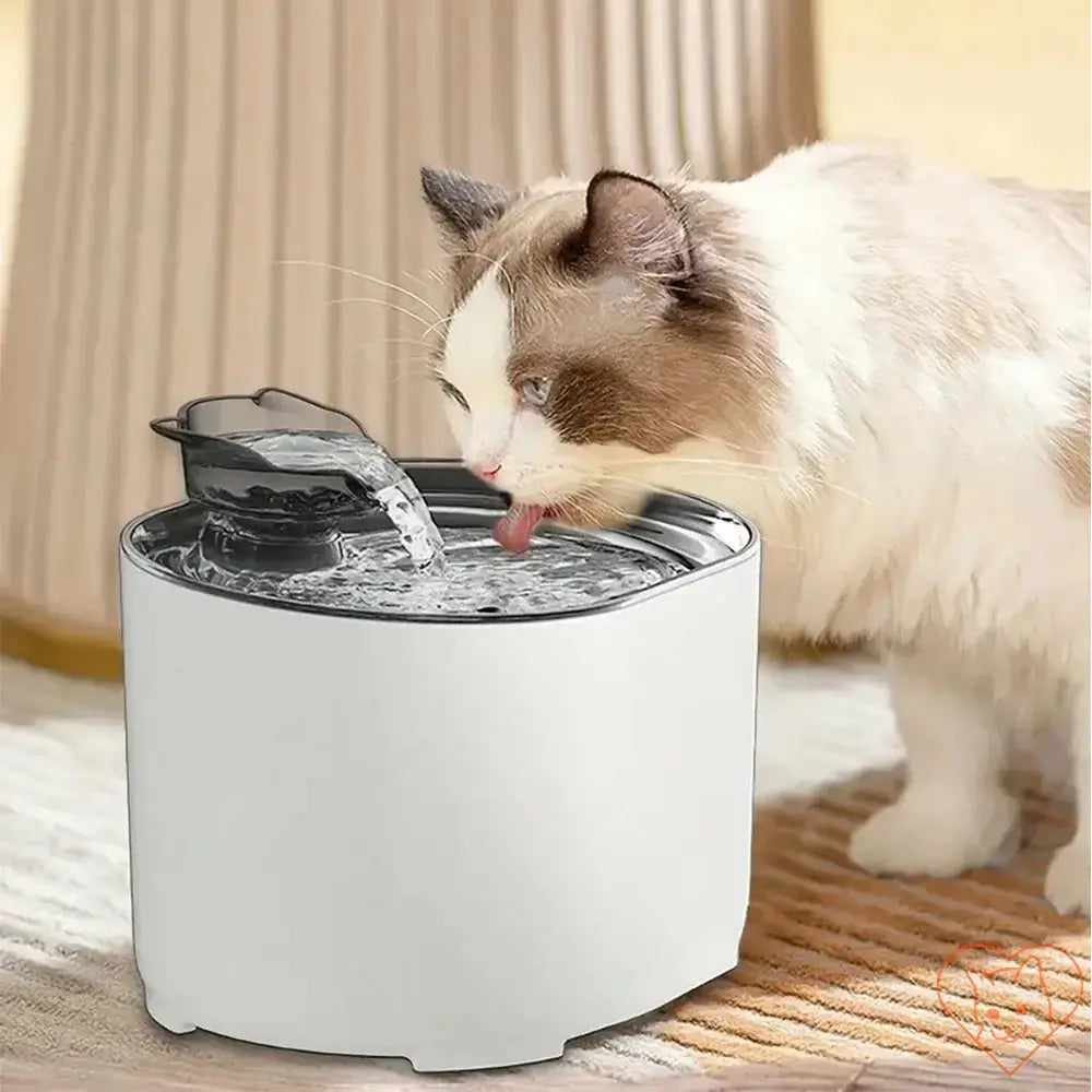 Cat drinking from a 2.2L cat water fountain with charcoal filter and charming ear design.