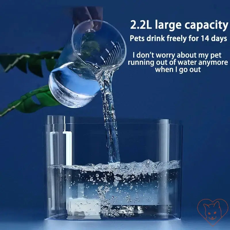 Pouring water into a 2.2L cat water fountain, ensuring ample hydration for pets for up to 14 days.