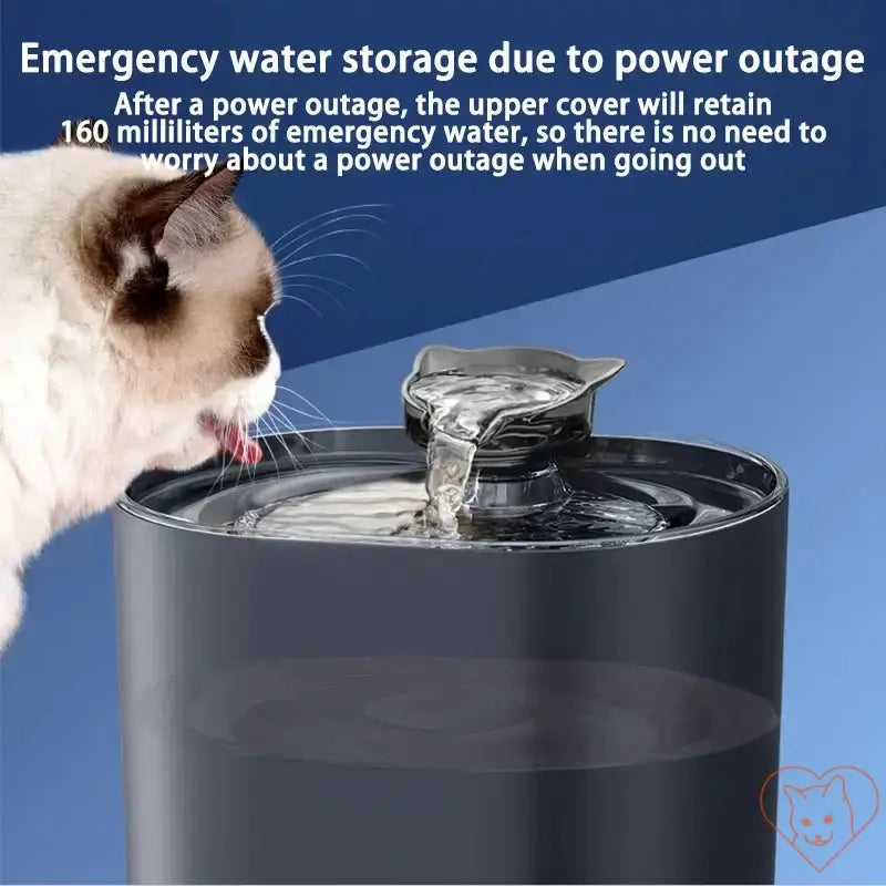Cat drinking from a 2.2L water fountain featuring emergency water storage, ensuring hydration during power outages.