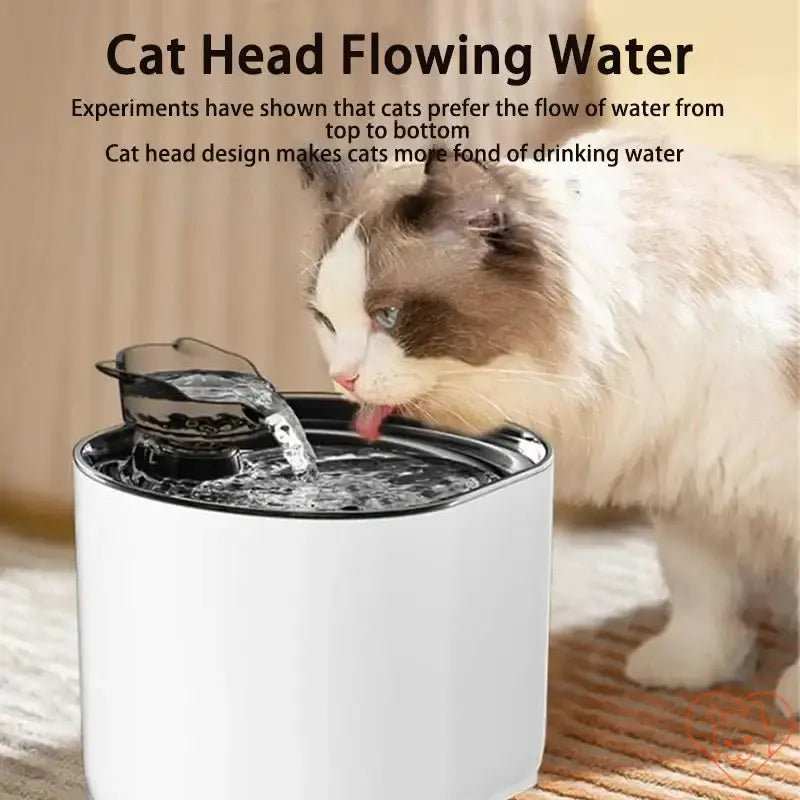 Cat drinking from a cat head-style water fountain demonstrating the flow of water.