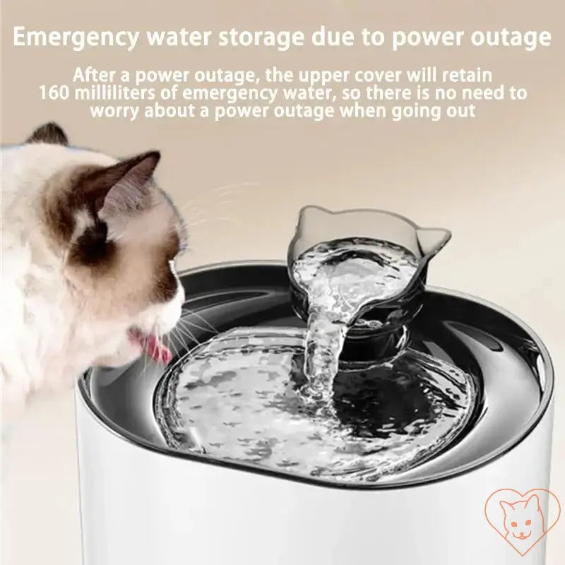 Cat drinking from a water fountain with emergency water storage feature for power outages.