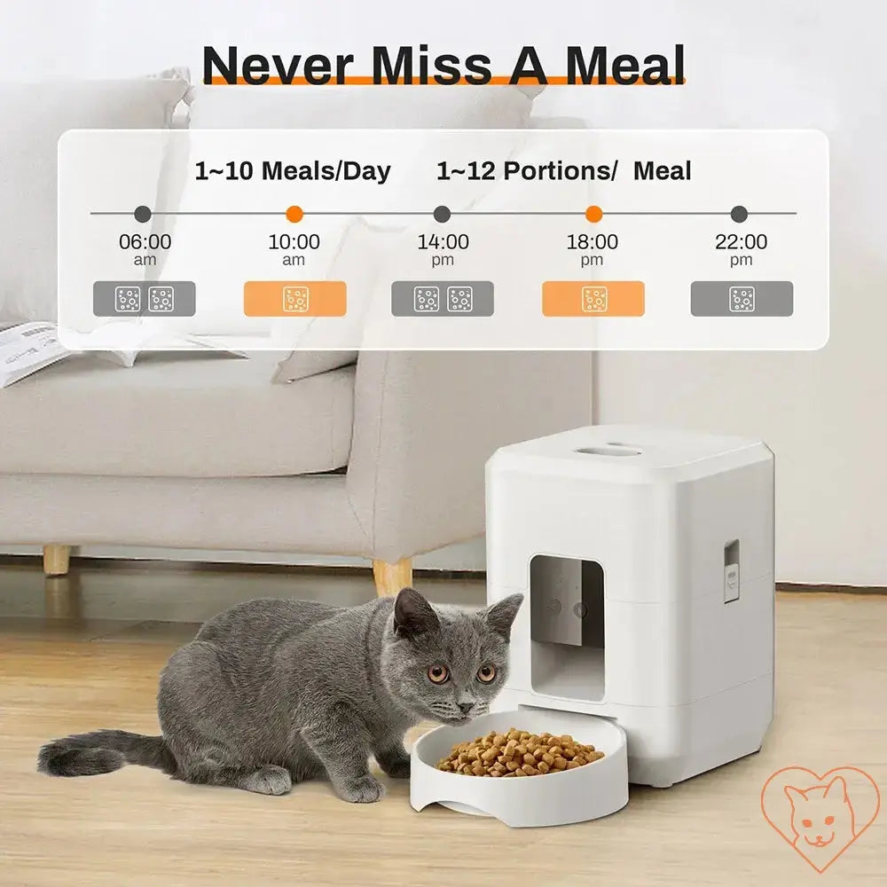 Smart automatic pet feeder with meal schedule, cat eating from bowl, modern design in home setting.