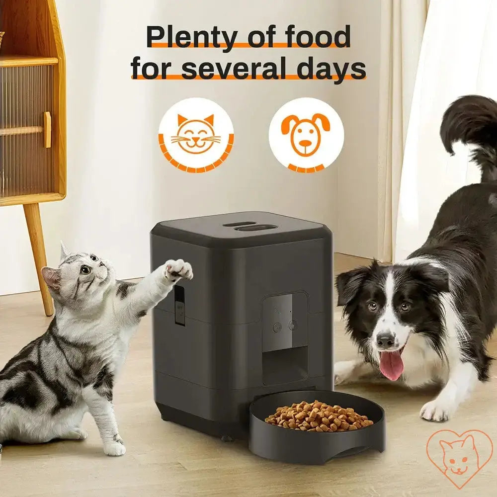 2L smart automatic pet feeder for cats and dogs, showing pets enjoying ample dry food.