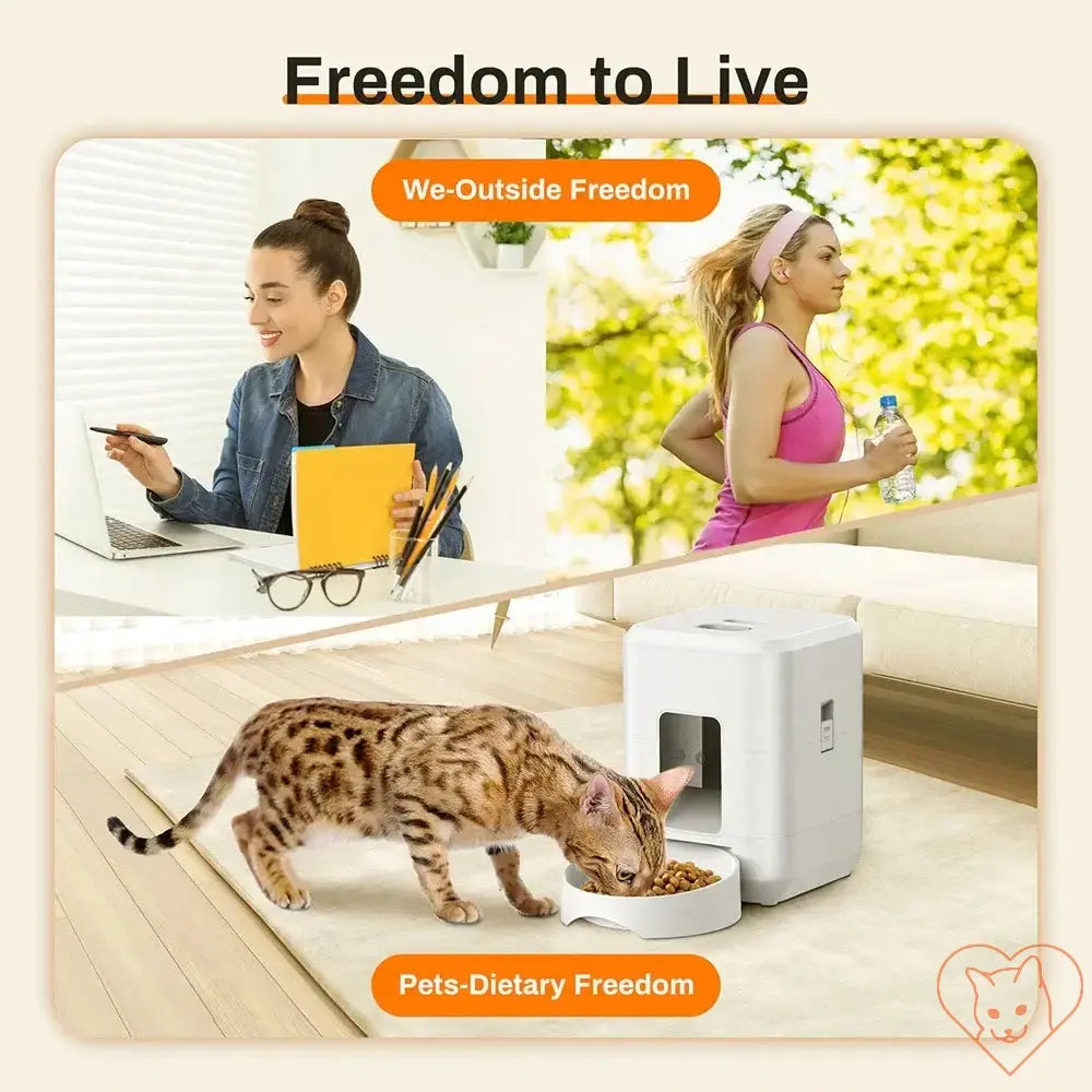 Image showing a smart automatic pet feeder for cats with a happy pet, highlighting dietary freedom and convenience for pet owners.