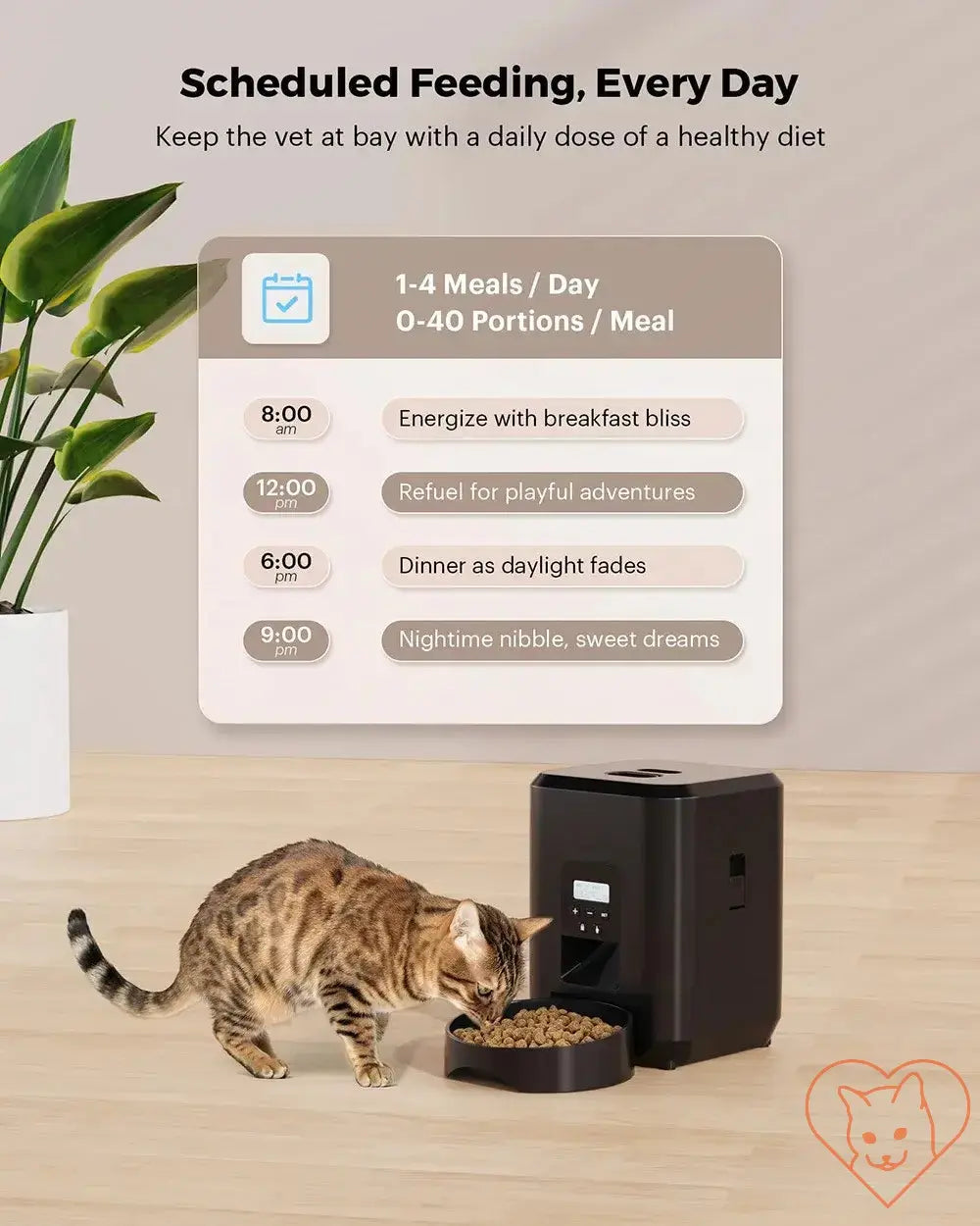 Cat using a 2L automatic pet feeder with schedule for healthy meals and feeding portions.