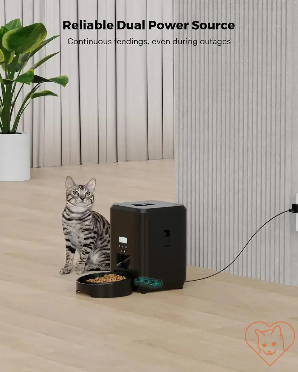 Cat next to a 2L automatic pet feeder showcasing dual power source for reliable continuous feeding.