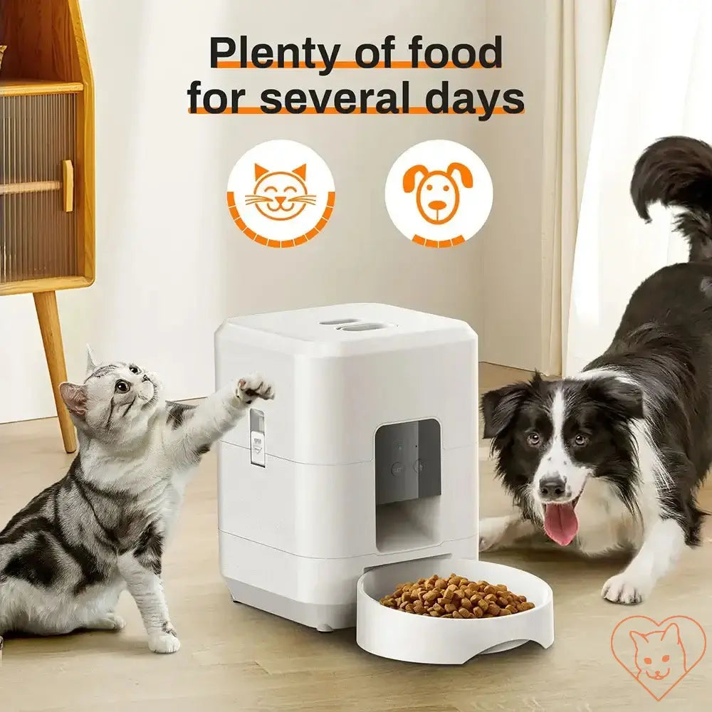 Smart automatic pet feeder for cats and dogs with plenty of dry food, ideal for busy pet owners.