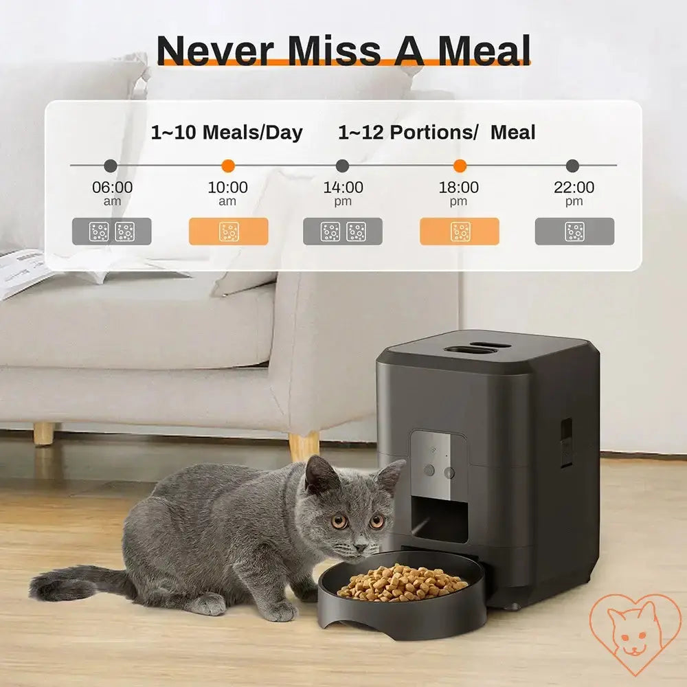 Smart automatic pet feeder with food bowl, cat nearby, showcasing meal schedule and portion control settings.