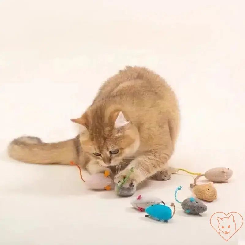 Cat playing with 3 plush simulation mouse toys, showcasing interactive fun and natural hunting instincts.