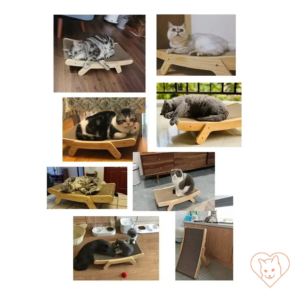 Collage of cats lounging on a 3-in-1 cat scratcher bed with wooden frame, showcasing comfort and playfulness.