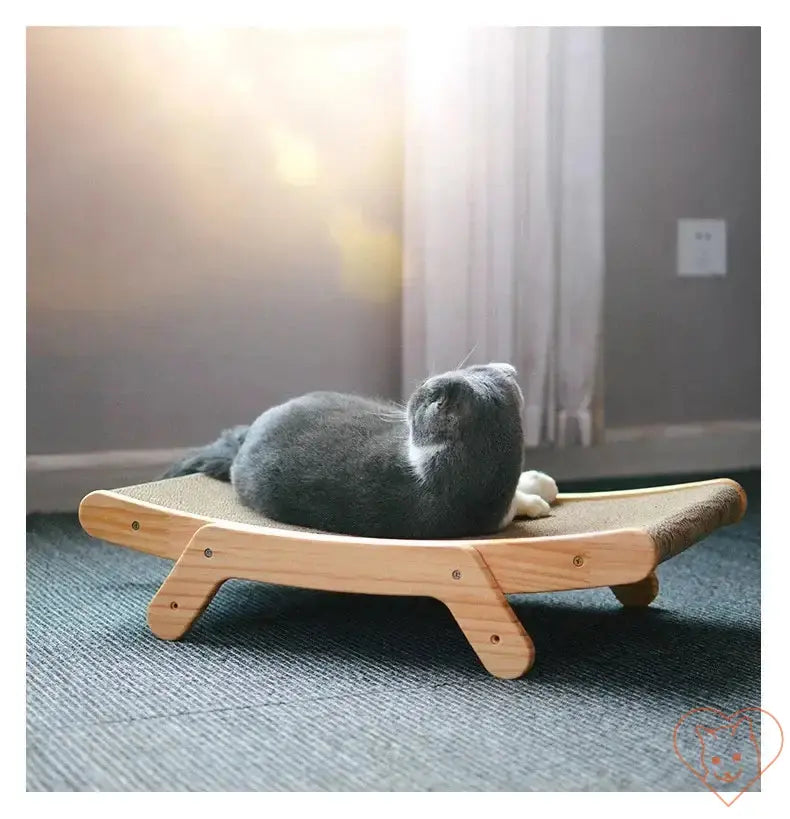 Gray cat lounging on a 3-in-1 cat scratcher bed with wooden frame, enjoying sunlight.