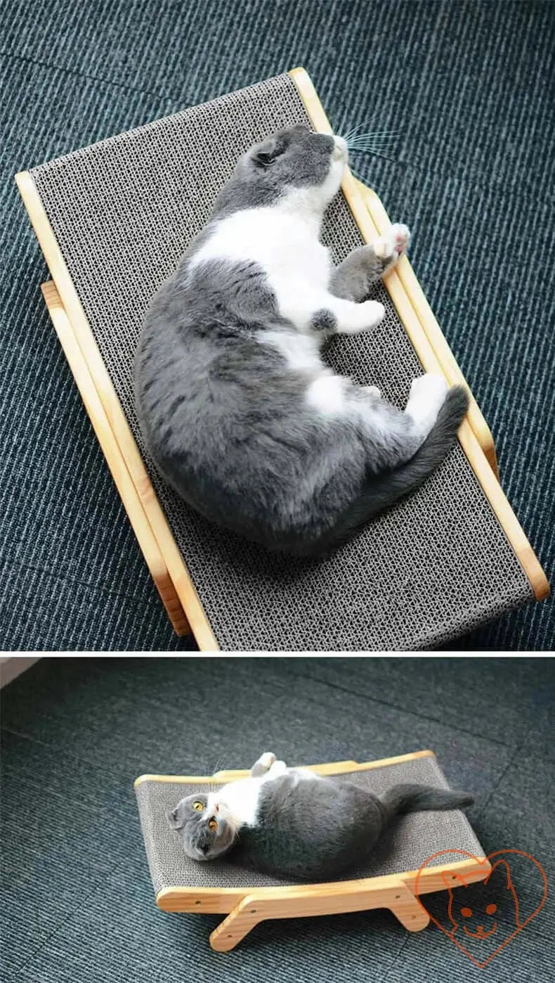 Gray and white cat lounging on a 3-in-1 cat scratcher bed with wooden frame.