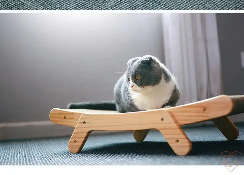 Gray cat lounging on a 3-in-1 scratcher bed with wooden frame, showcasing its comfort and durability.