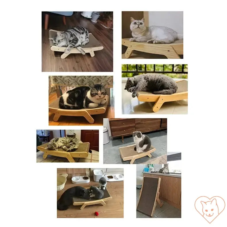 Collage of cats lounging and scratching on a wooden 3-in-1 cat scratcher bed, showcasing its versatility and comfort.