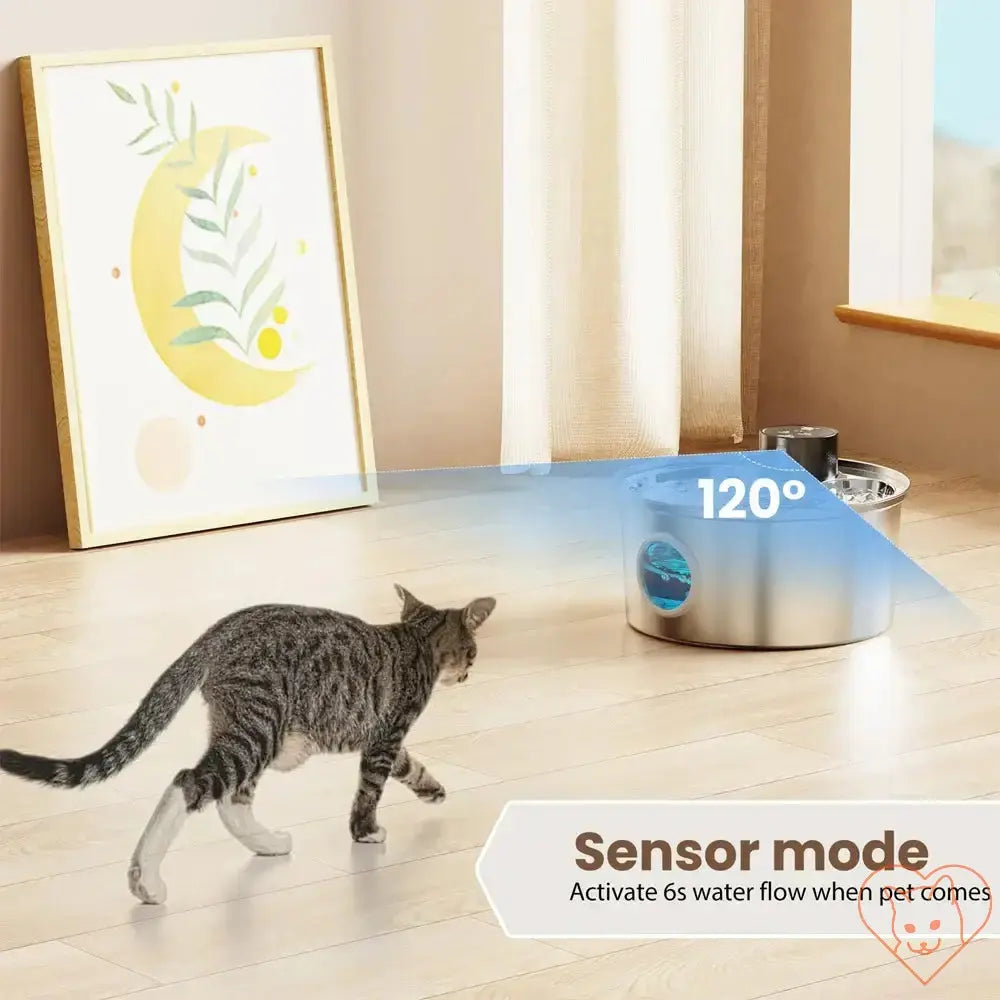 Cat using 3.2L Autofeder stainless steel water fountain in sensor mode, activating water flow.