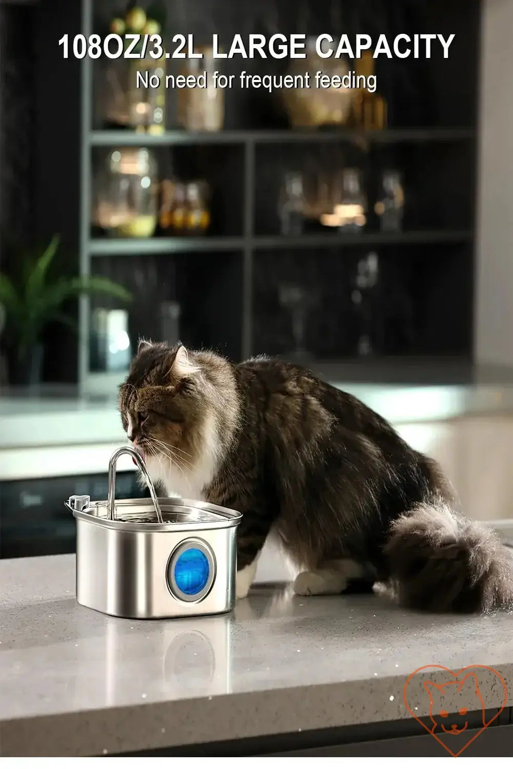 Cat drinking from 3.2L stainless steel water fountain with visual window on a sleek countertop.