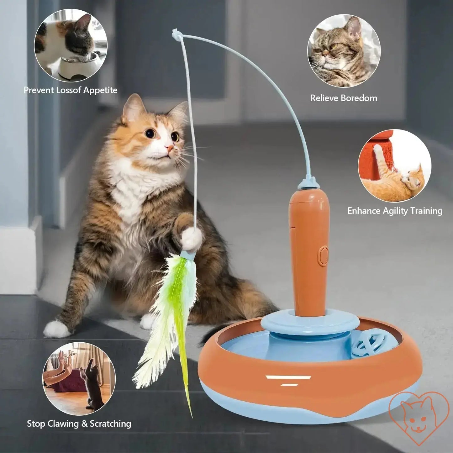 Cat playing with 360° rotating interactive feather toy, promoting exercise and reducing boredom in pets.