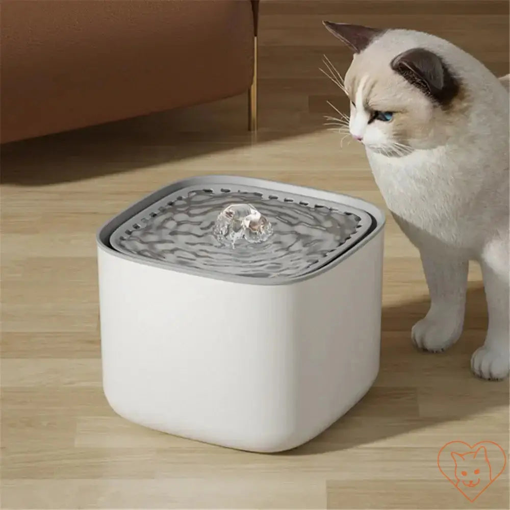 3L Ultra-Quiet Cat Water Fountain with running water and cat, promoting hydration for pets.