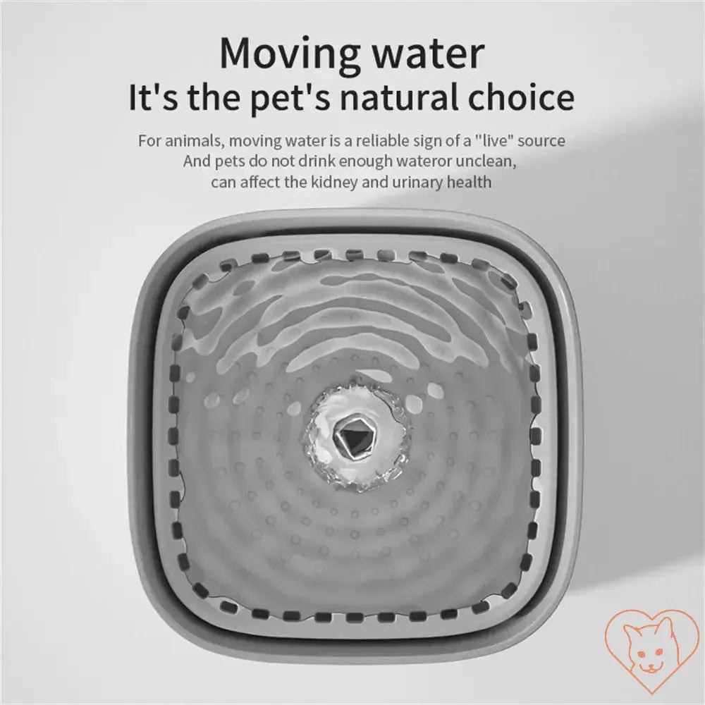 Top view of a cat water fountain showing moving water, promoting hydration for pets.