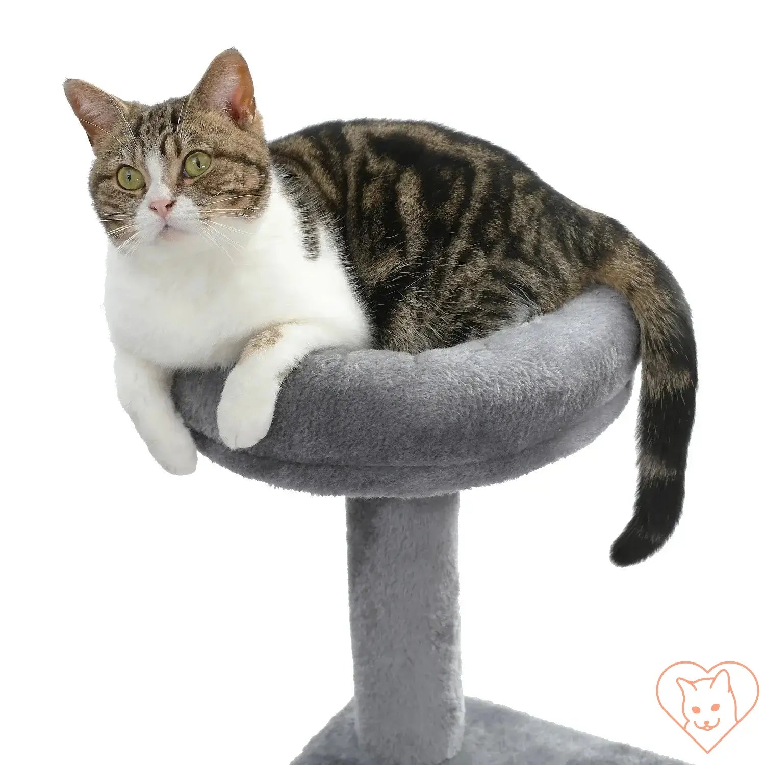 Cat lounging on a gray perch of a multi-level cat tree tower, showcasing comfort and relaxation.