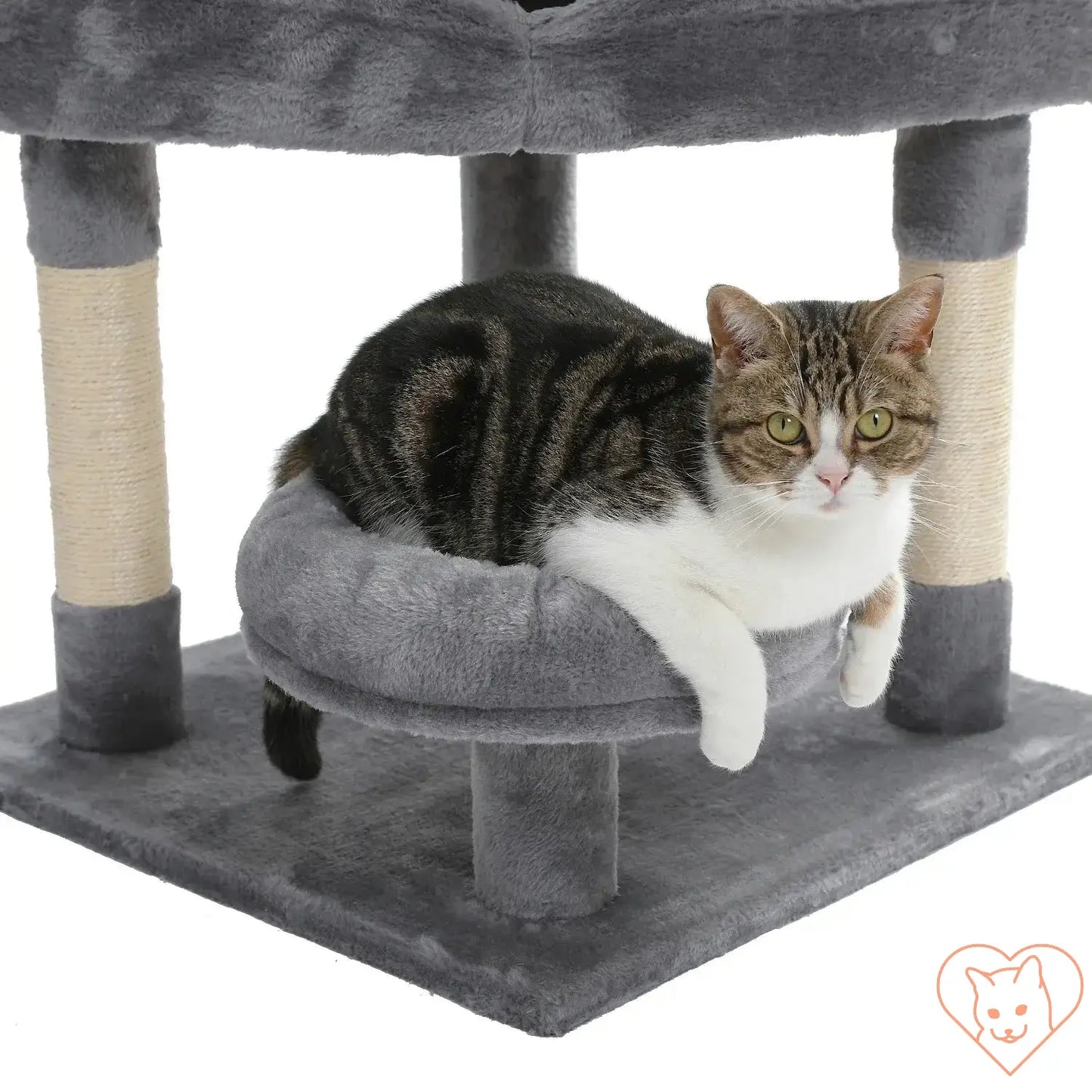 Comfortable cat lounging on a soft perch of a multi-level cat tree with sisal-covered posts.