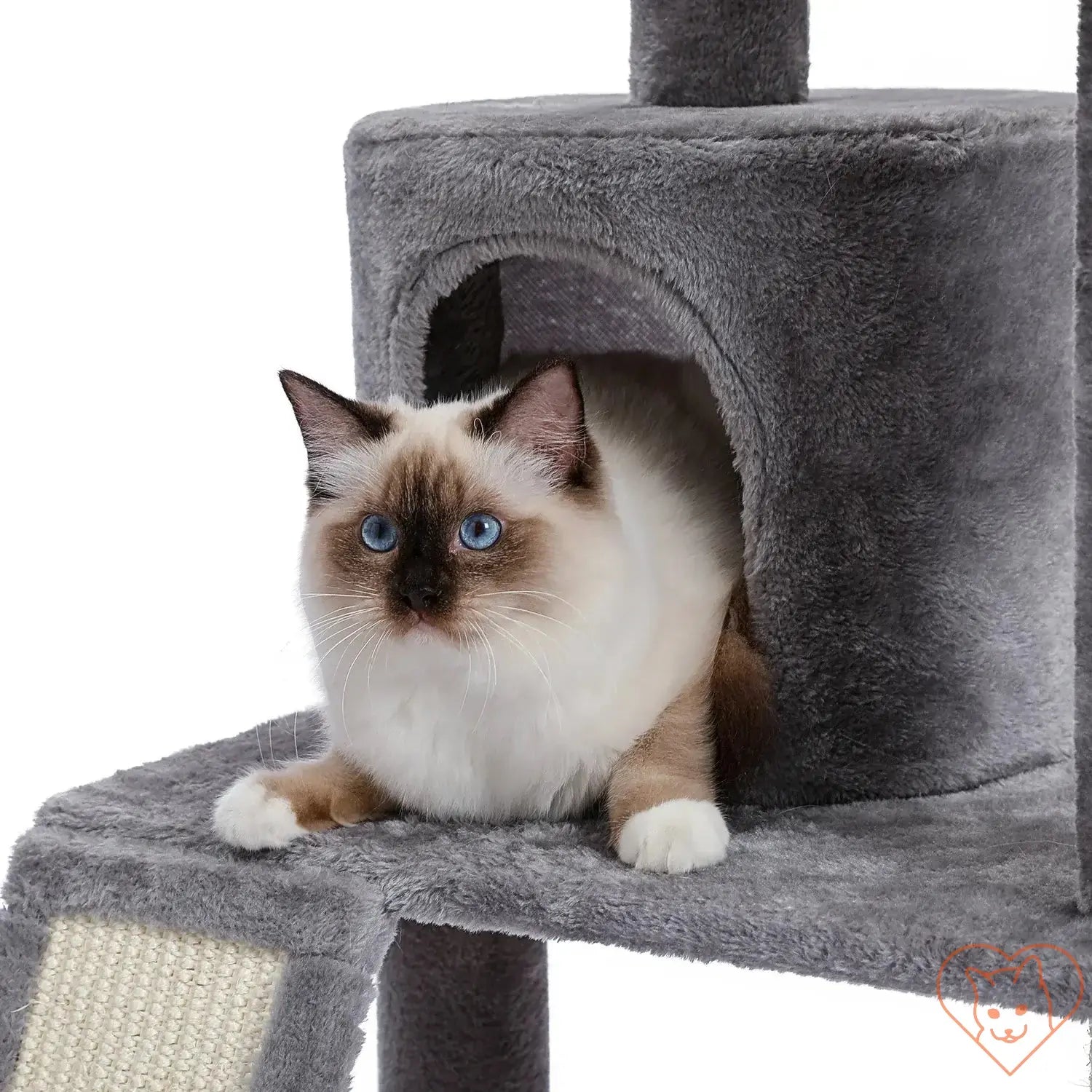 Fluffy cat lounging in a cozy condo of a 68-inch multi-level cat tree tower.