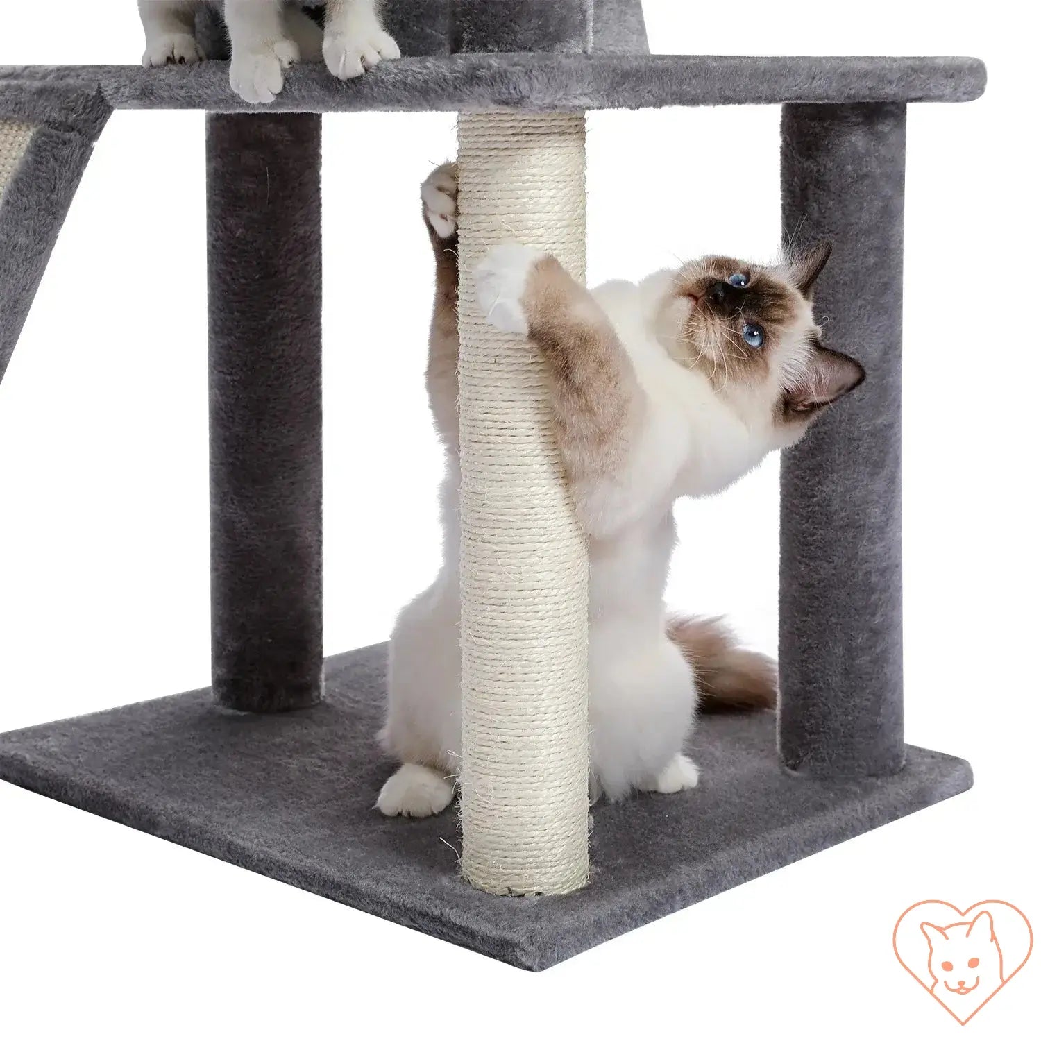 Cat enjoying the sisal scratching post on a multi-level cat tree tower with condos and perch.