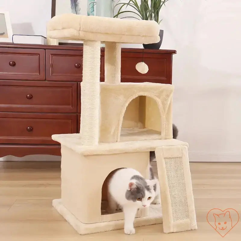 Grey and white cat exploring a beige multi-level cat tree with condos and scratching posts.