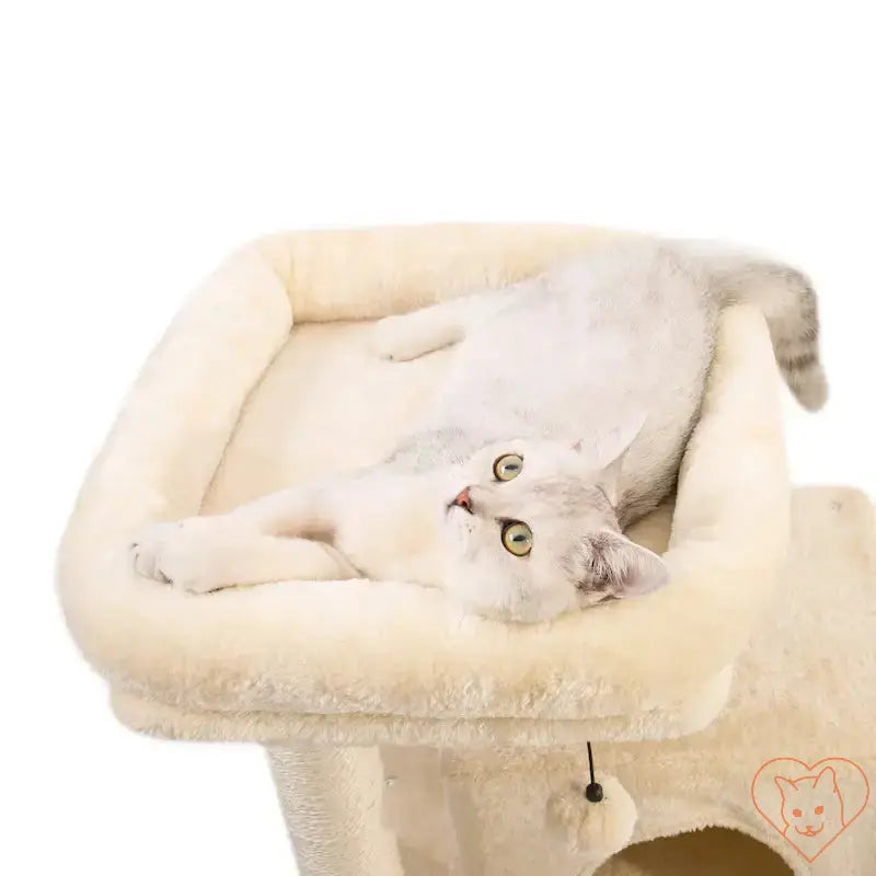 Cat lounging comfortably on the plush perch of a multi-level cat tree, enjoying a cozy and relaxing moment.